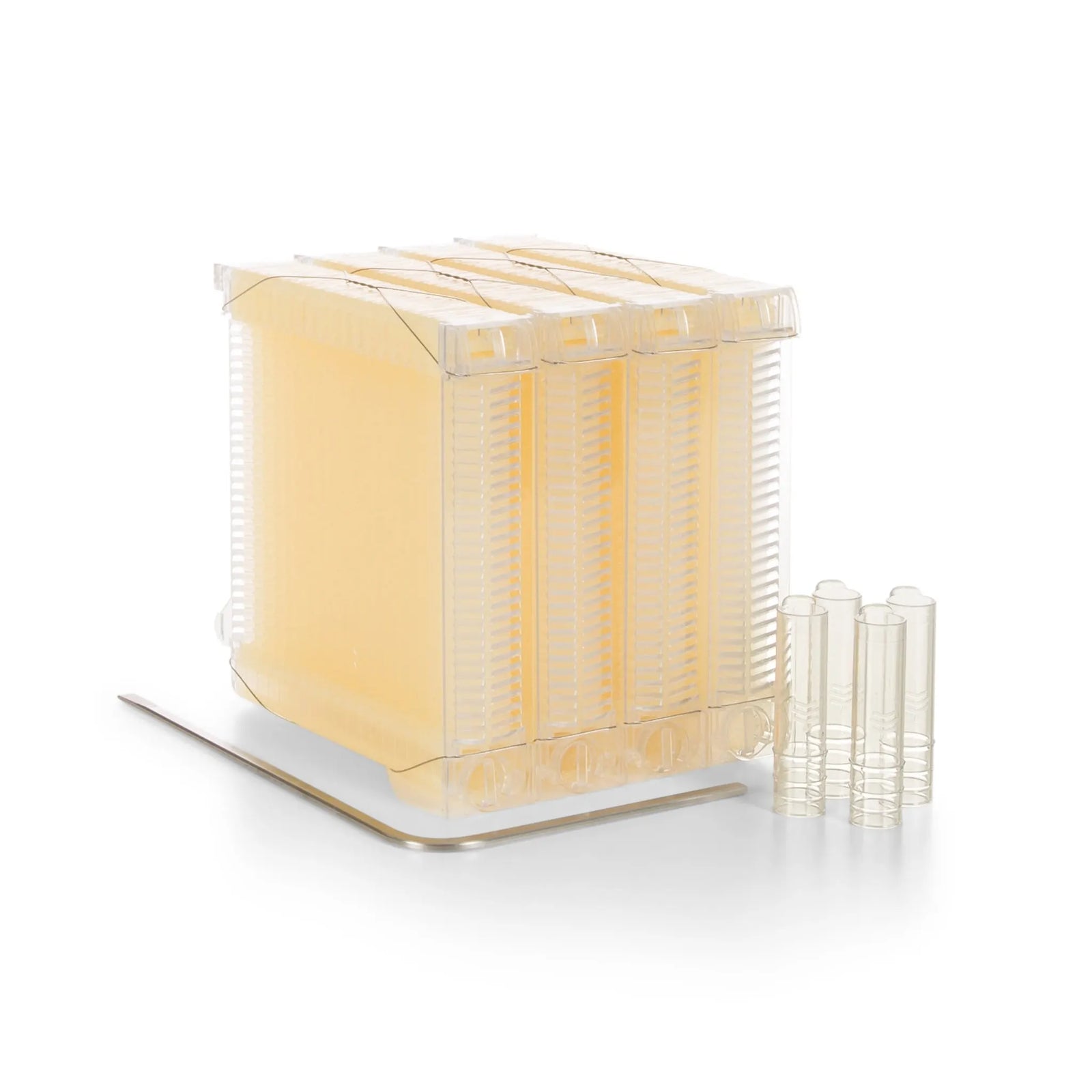 Flow Frames – Half-Size (Japan) - Flow Hive US